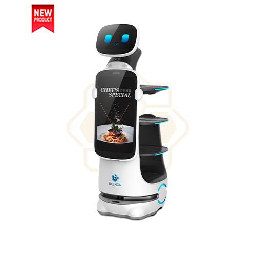 Sena Robotics HolaBot 4